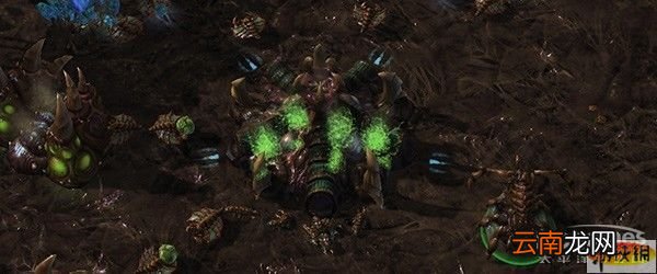 《星际争霸2》欧洲职业选手谈三族大局观 资源采集和爆兵研究