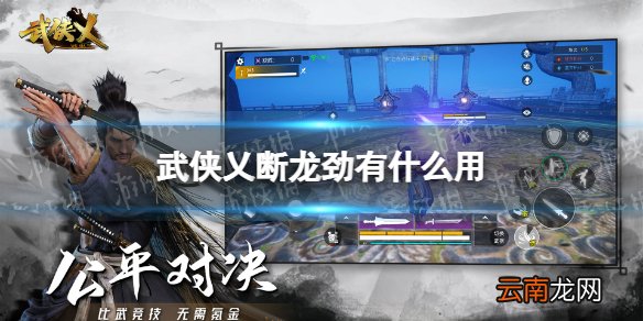 武侠乂断龙劲有什么用 武侠乂断龙劲效果介绍
