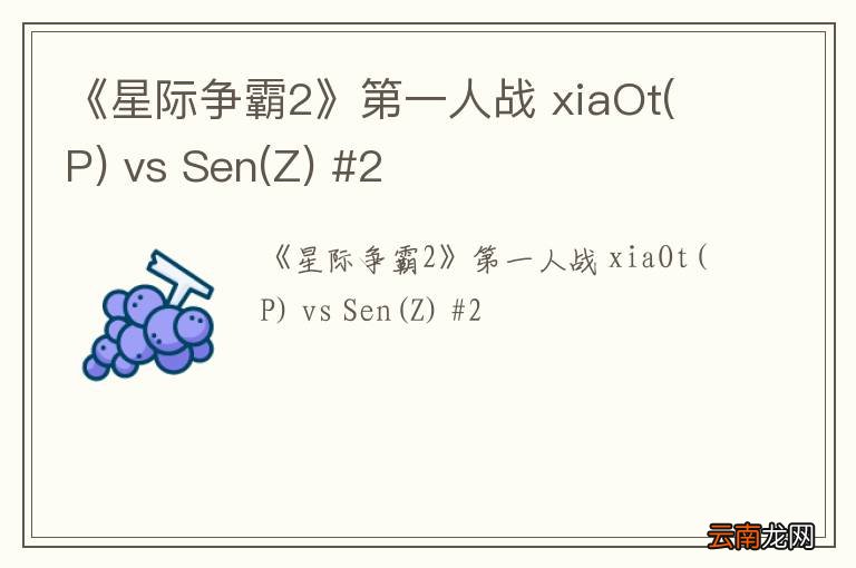 P 《星际争霸2》第一人战 xiaOt vs Sen(Z) #2