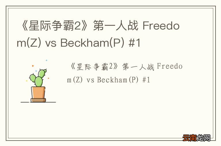 Z 《星际争霸2》第一人战 Freedom vs Beckham(P) #1