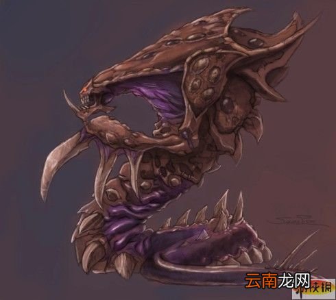 Artosis地图平衡性研究：库拉斯峡谷平衡性最差
