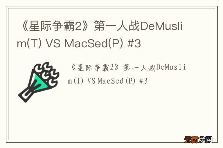 T 《星际争霸2》第一人战DeMuslim VS MacSed(P) #3