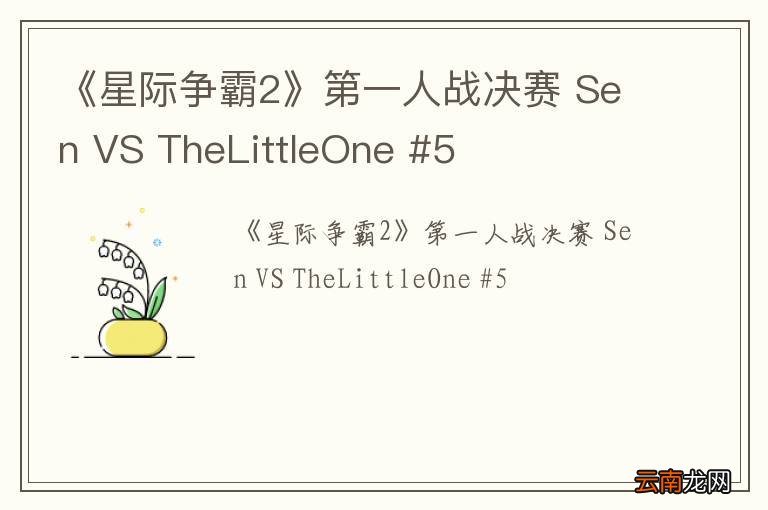 《星际争霸2》第一人战决赛 Sen VS TheLittleOne #5