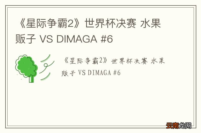 《星际争霸2》世界杯决赛 水果贩子 VS DIMAGA #6