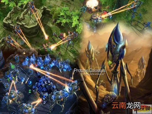 《星际争霸2》第一阶段测试PVP战术总结