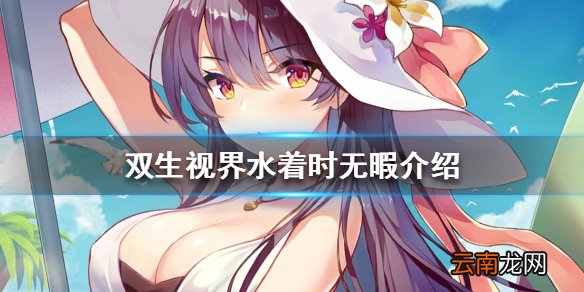 双生视界水着时无暇技能是什么 双生视界水着时无暇海报立绘一览