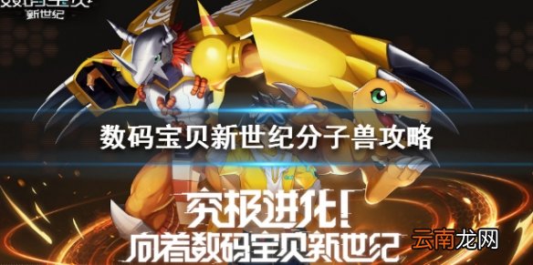 数码宝贝新世纪分子兽在哪里 数码宝贝分子兽攻略