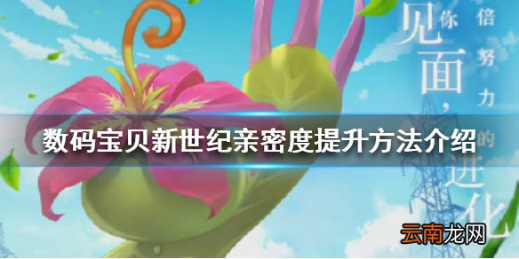 数码宝贝新世纪亲密度怎么提升 亲密度提升方法介绍