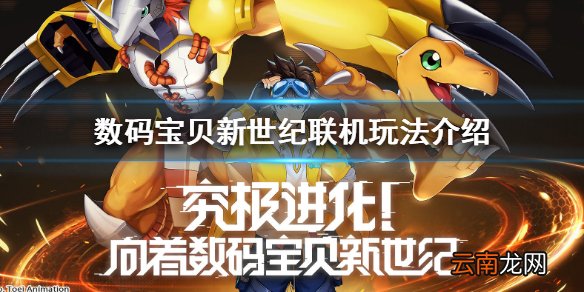 数码宝贝新世纪怎么组队 联机作战玩法介绍