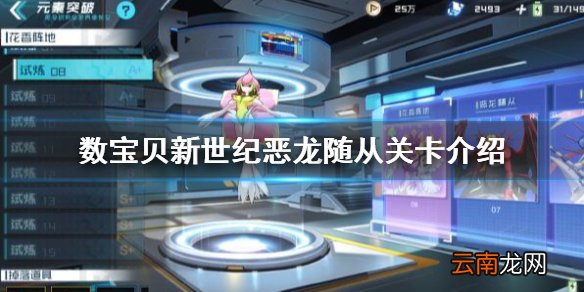 数宝贝新世纪恶龙随从关卡介绍 数宝贝新世纪恶龙随从关卡攻略