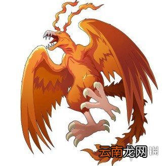 数宝贝新世纪新手初期阵容怎么搭配 数码宝贝新世纪新手初期阵容推荐