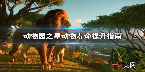 动物园之星动物寿命怎么提升 动物园之星动物寿命提升指南