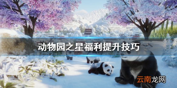 动物园之星动物园福利怎么提升 动物园之星福利提升技巧