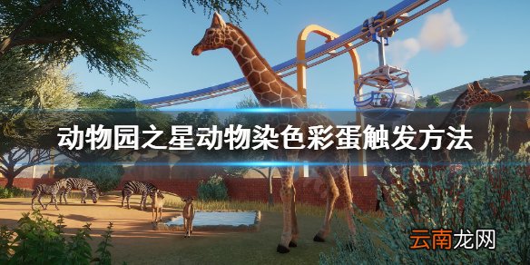 动物园之星动物染色彩蛋怎么触发 动物园之星动物染色触发