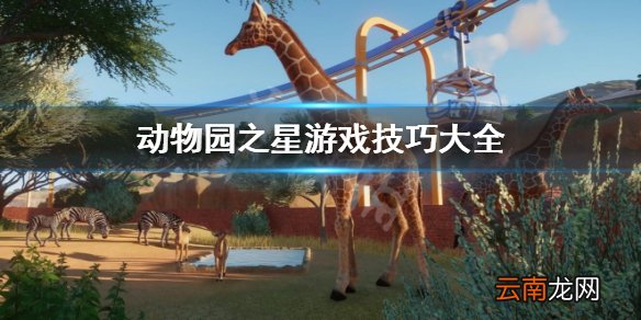 动物园之星游戏技巧有哪些 动物园之星游戏技巧大全