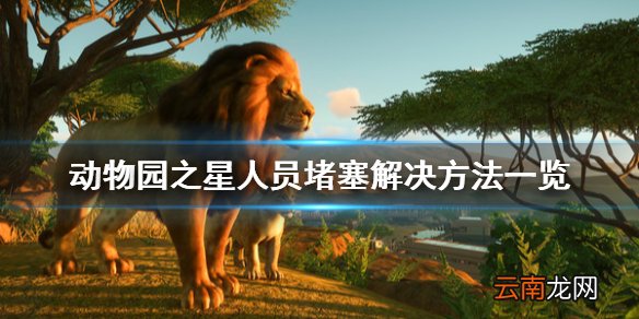 动物园之星堵塞怎么办 动物园之星人员堵塞解决方法一览_网