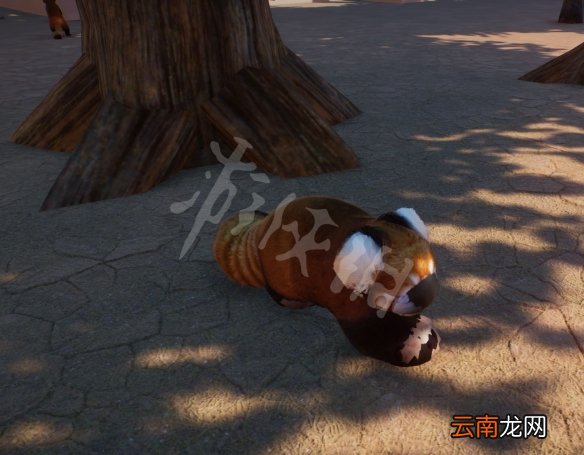 动物园之星有什么彩蛋 动物园之星彩蛋触发方法分享_网
