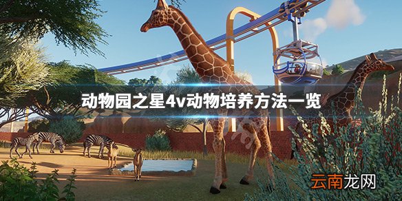 动物园之星4v动物怎么培养 动物园之星4v动物培养方法一览_网