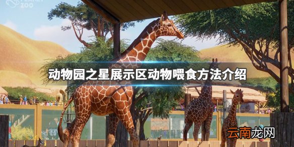 动物园之星展示区动物怎么喂食 展示区动物喂食方法介绍_网