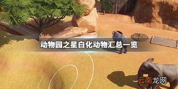 动物园之星白化动物有哪些 动物园之星白化动物汇总一览_网