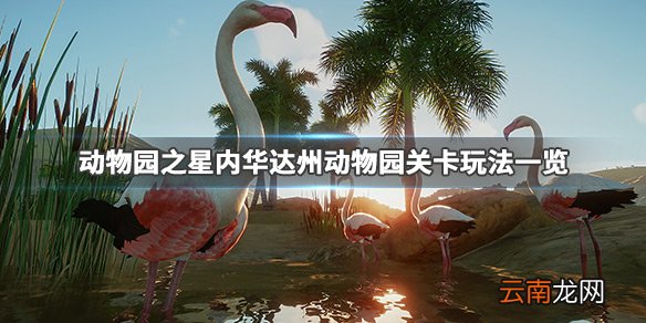 动物园之星第十关怎么通过 动物园之星内华达州动物园关卡_网