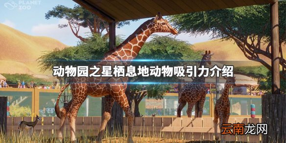 动物园之星栖息地动物吸引力介绍 什么动物吸引力高_网
