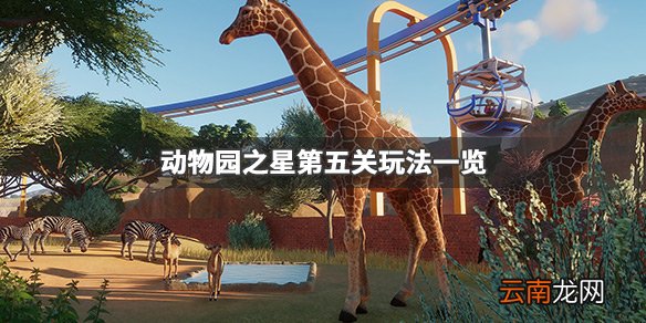 动物园之星第五关怎么过 动物园之星第五关玩法一览_网