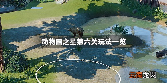 动物园之星第六关怎么过 动物园之星第六关玩法一览_网
