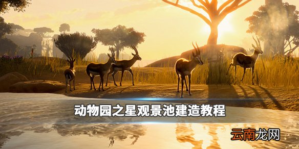 动物园之星观景池怎么建 动物园之星观景池建造教程_网