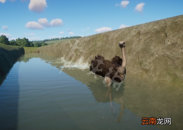 动物园之星什么动物可以下水 动物园之星动物习性一览 会游泳的动物_网