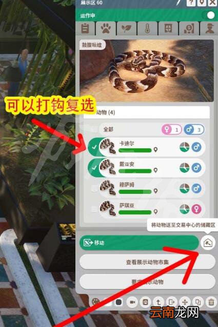动物园之星开局玩法图文攻略 动物园之星省钱开局方法介绍
