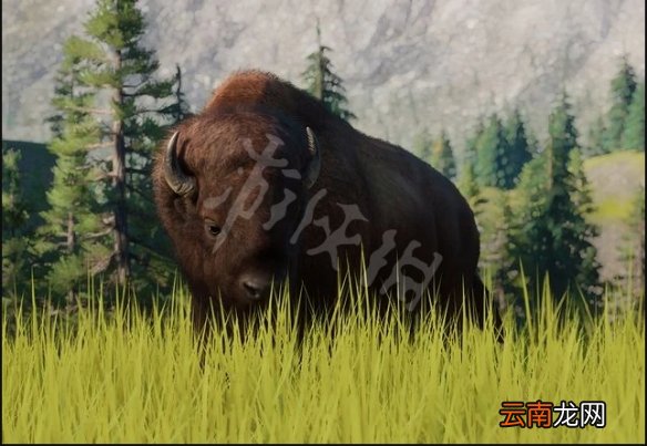 动物园之星动物有什么 动物园之星全动物图鉴 土豚