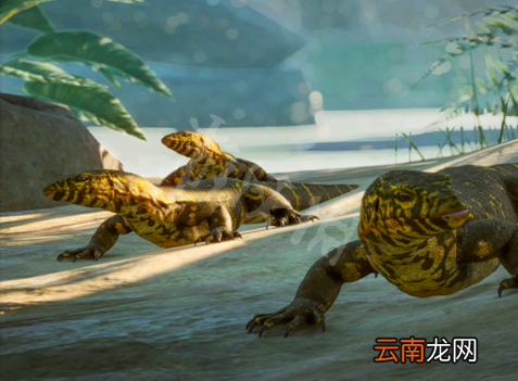 动物园之星动物有什么 动物园之星全动物图鉴 土豚