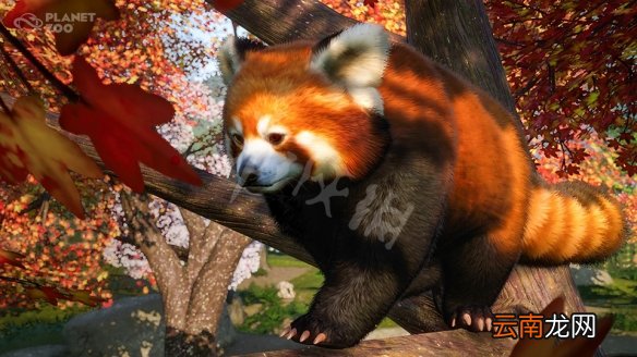 动物园之星动物有什么 动物园之星全动物图鉴 土豚