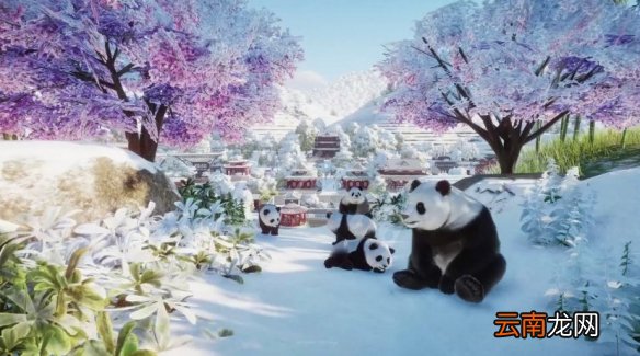 动物园之星动物有什么 动物园之星全动物图鉴 土豚