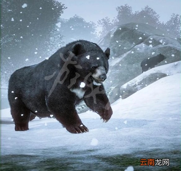 动物园之星动物有什么 动物园之星全动物图鉴 土豚