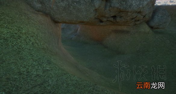 动物园之星部分动物园区全景观展示 动物园区景观图鉴 孔雀广场
