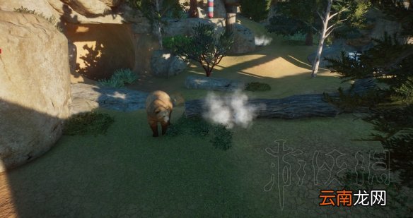 动物园之星部分动物园区全景观展示 动物园区景观图鉴 孔雀广场