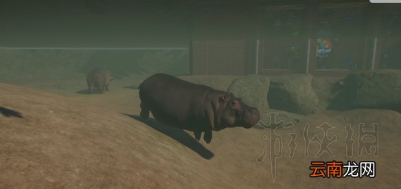 动物园之星值得买吗 动物园之星初体验图文心得分享