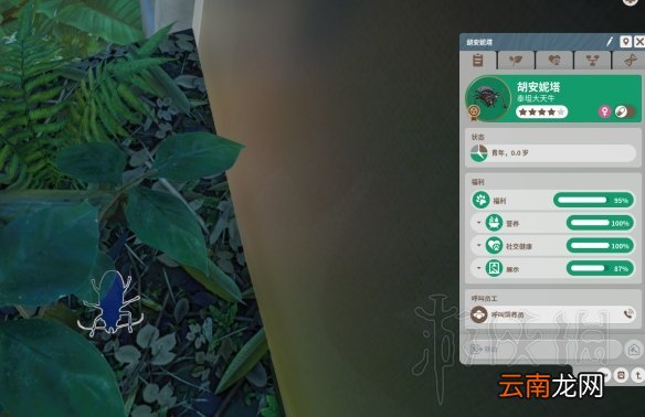 动物园之星值得买吗 动物园之星初体验图文心得分享