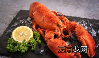 买回来的大龙虾怎么储存 怎么储存买回来的大龙虾