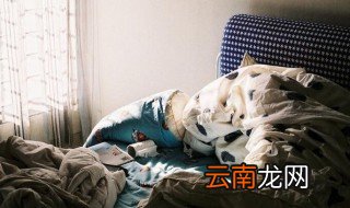 如何在被窝里快速找到跳蚤 在被窝里快速找到跳蚤的方法