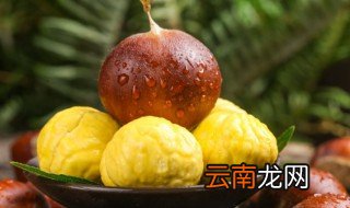 栗子树的种植方法 如何种植栗子树