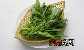 空心菜的种植方法和时间 怎么种植空心菜