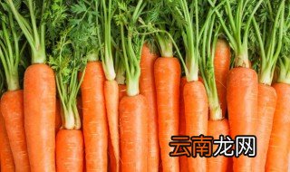 胡萝卜怎么种植方法 如何种植胡萝卜