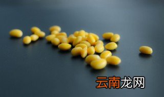 黄豆怎么种植方法 如何种植黄豆