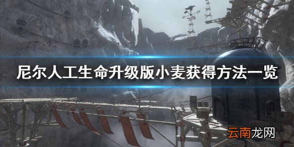 尼尔人工生命升级版小麦在哪 尼尔人工生命小麦获得方法一览