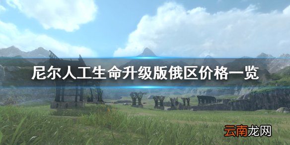 尼尔人工生命升级版俄区多少钱 尼尔人工生命升级版俄区价格