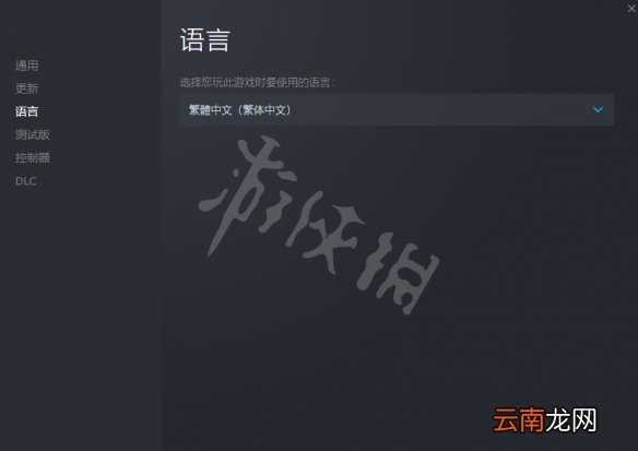 尼尔人工生命升级版有中文吗 尼尔人工生命升级版语言选项