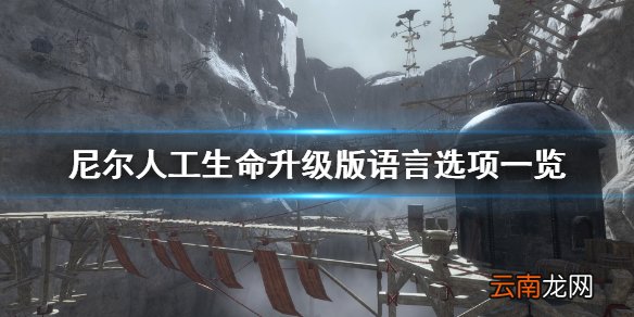 尼尔人工生命升级版有中文吗 尼尔人工生命升级版语言选项